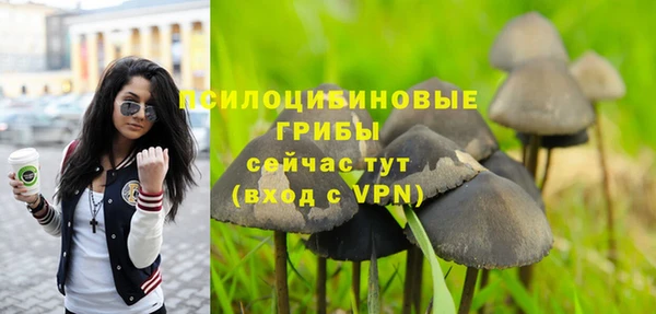 героин Богородицк