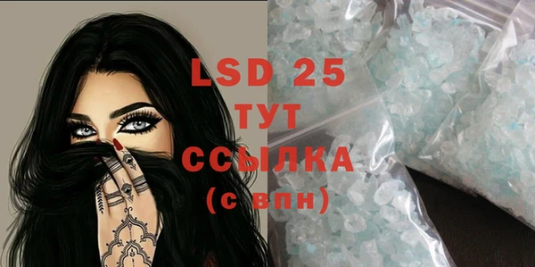спайс Богданович
