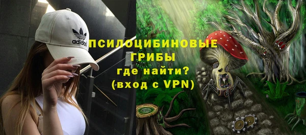 спайс Богданович