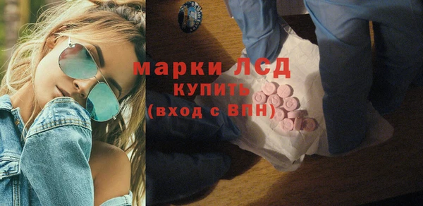спайс Богданович
