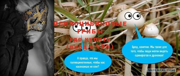 прущая мука Богородск