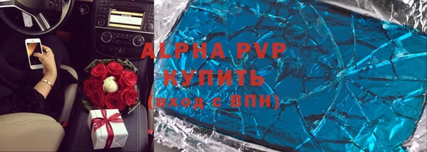 спайс Богданович