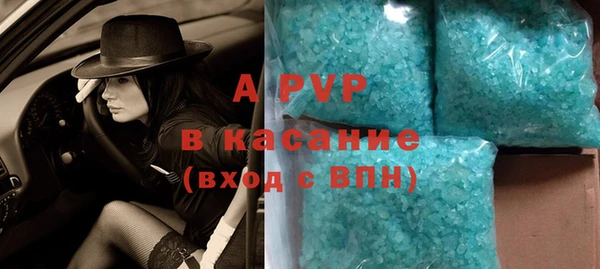 спайс Богданович
