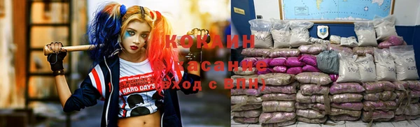 спайс Богданович