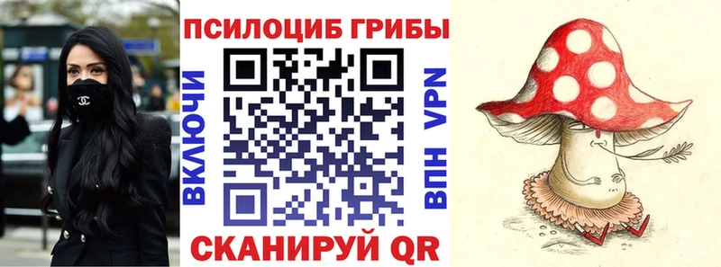 kraken ссылки  Светлый  Галлюциногенные грибы MAGIC MUSHROOMS 